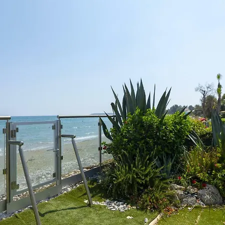 Meneou Beachfront 3 Villa *